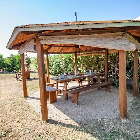 L'istrice Di Gio *