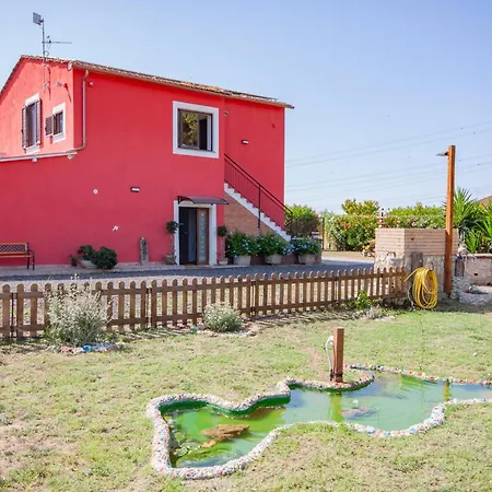 L'istrice Di Gio * Montalto di Castro