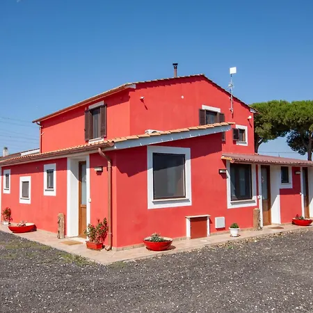 L'istrice Di Gio