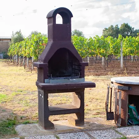 L'istrice Di Gio *
