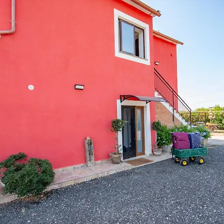 L'istrice Di Gio